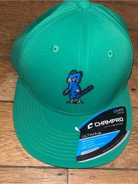 Champro St Louis Cardinals Bird Green & Blue Stretch Hat Baseball Cap L / XL